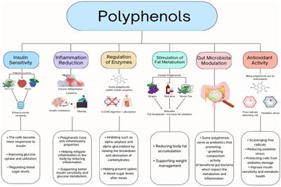Do polyphenols affect body fat and/or glucose metabolism?